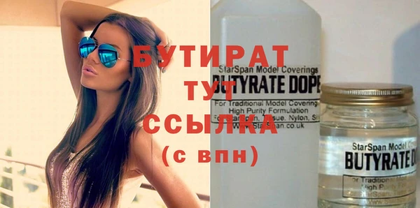 гидра Вяземский