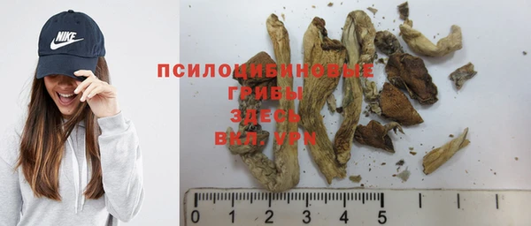 гидра Вяземский