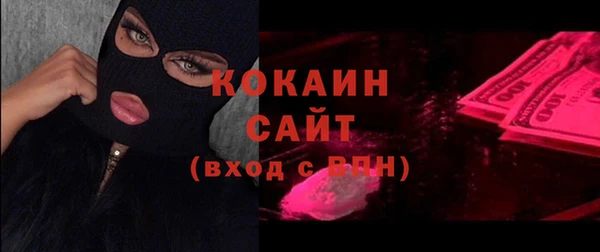 гидра Вяземский