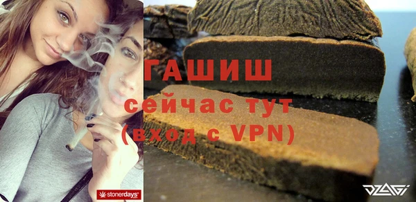 гидра Вяземский