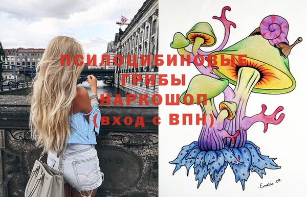 сатива Вязники