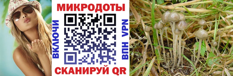 Галлюциногенные грибы GOLDEN TEACHER  Камешково 